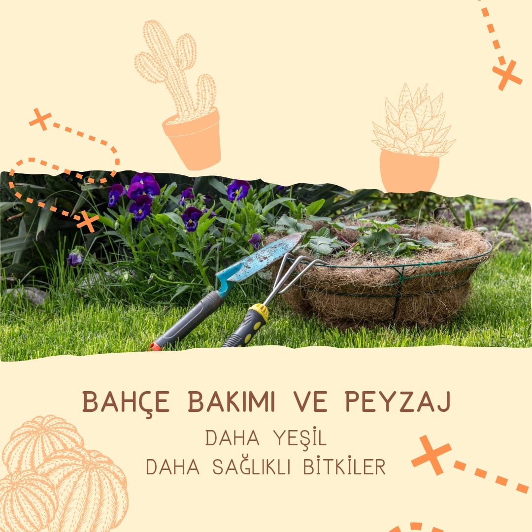 Peyzaj